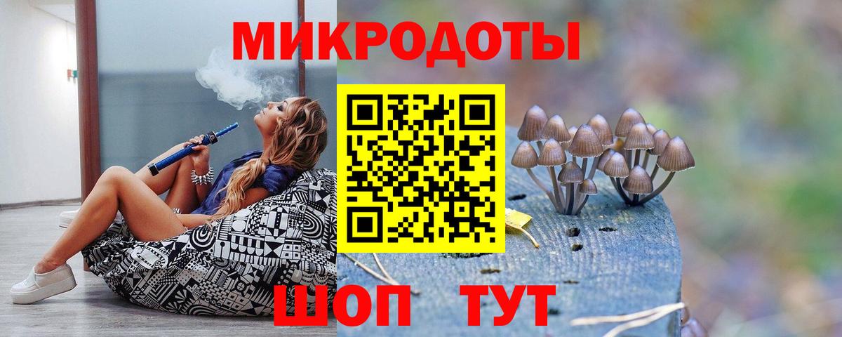 Псилоцибиновые грибы Psilocybe  Псилоцибиновые грибы прущие грибы  наркошоп  Вход с VPN  Кинешма 