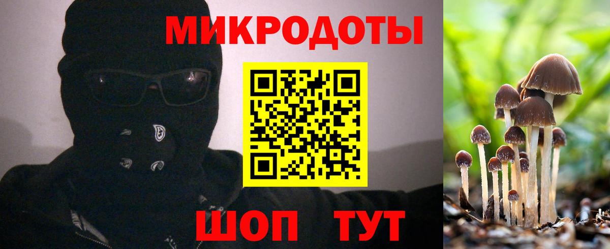 Галлюциногенные грибы мухоморы  Кинешма 