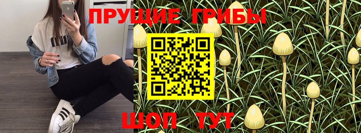 Псилоцибиновые грибы GOLDEN TEACHER Кинешма